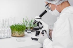Desarrollo biotecnológico de plantaluas de mangle ICAGES